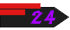 24
