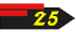 25